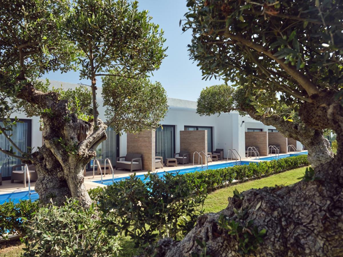 Cavo Orient Beach Hotel & Suites Drosia  Exterior photo