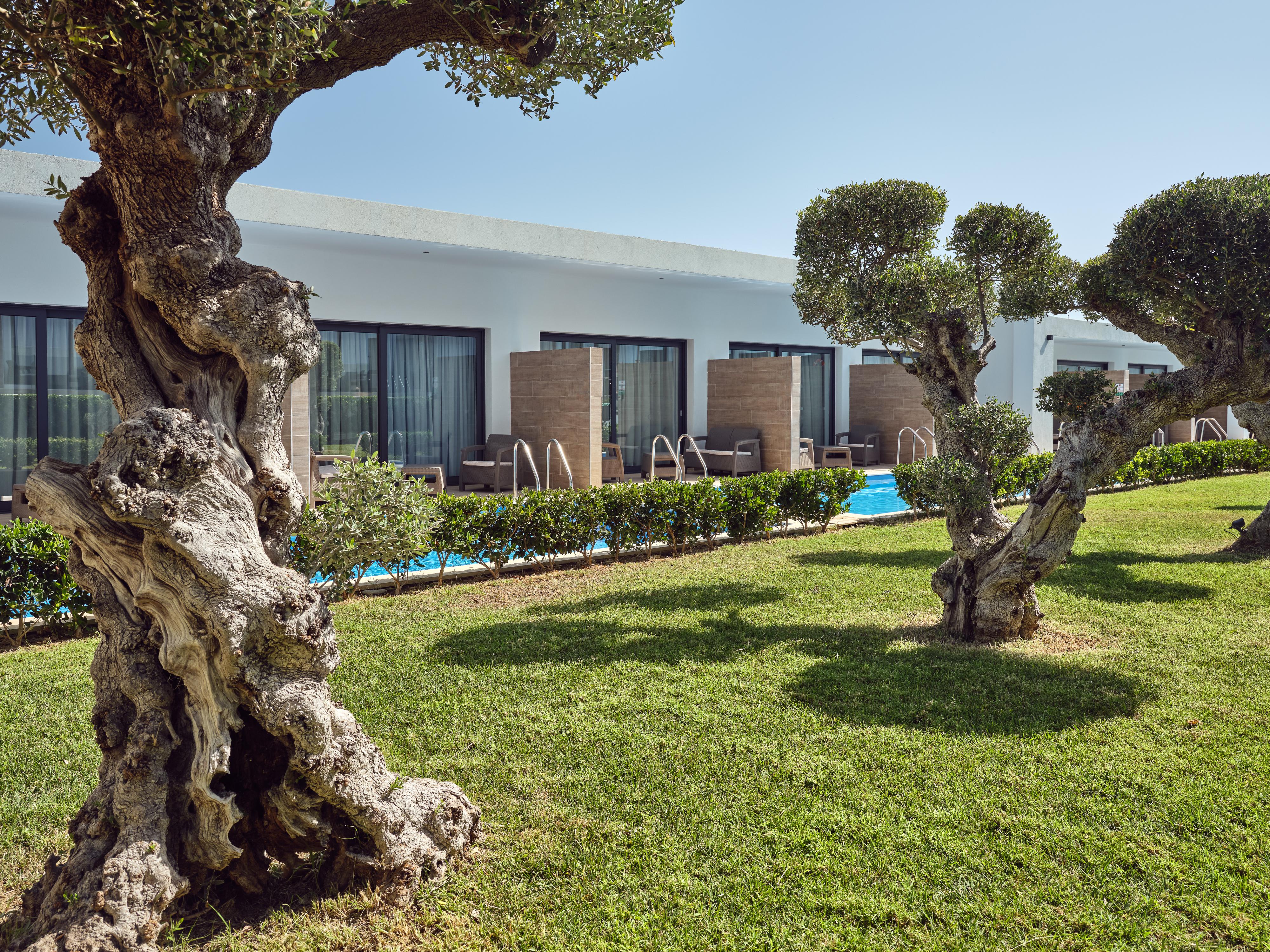 Cavo Orient Beach Hotel & Suites Drosia  Exterior photo